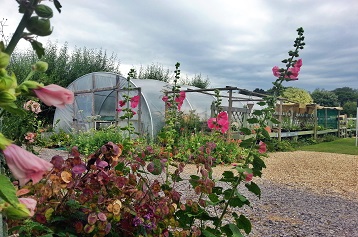 Poly tunnel at The Nursery